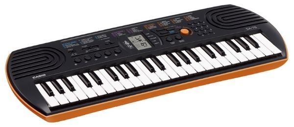 Отзывы Casio SA-76