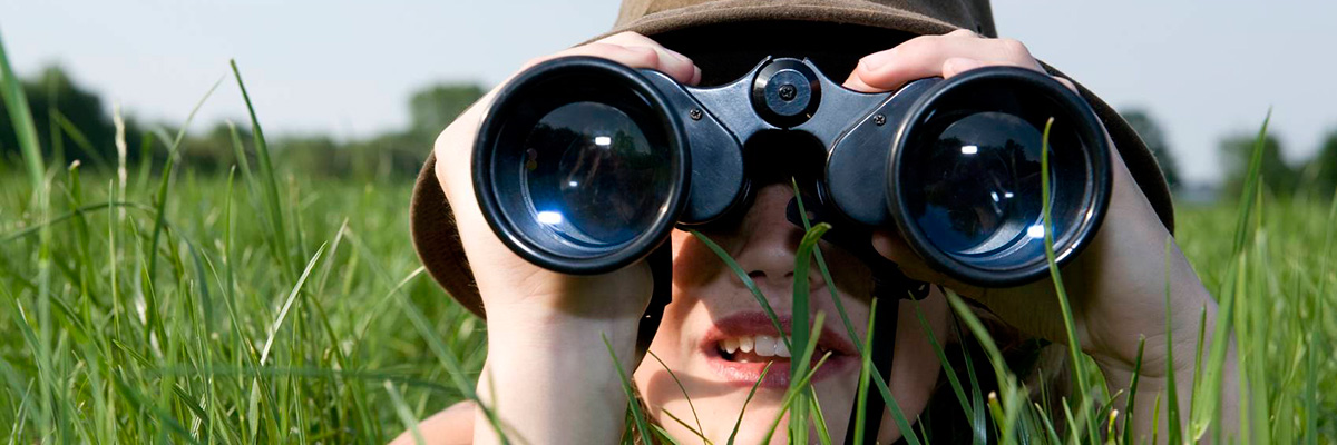 Бинокли и зрительные трубы: отзывы, видео обзоры, характеристики