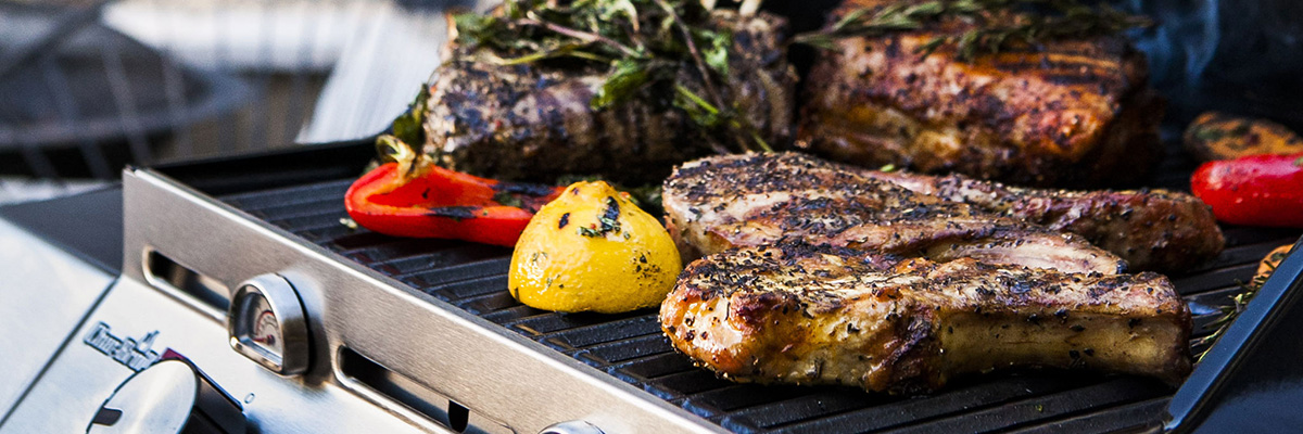 Электрические грили и шашлычницы: отзывы, видео обзоры, характеристики