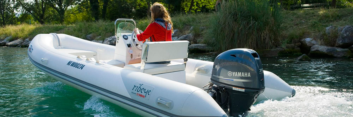 Лодочные моторы: отзывы, видео обзоры, характеристики