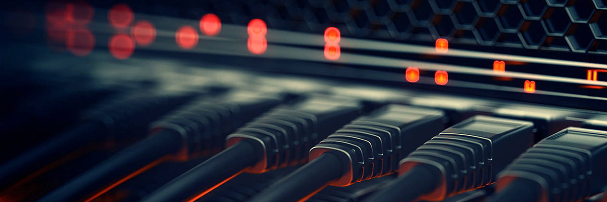 Сетевые карты и адаптеры: отзывы, видео обзоры, характеристики